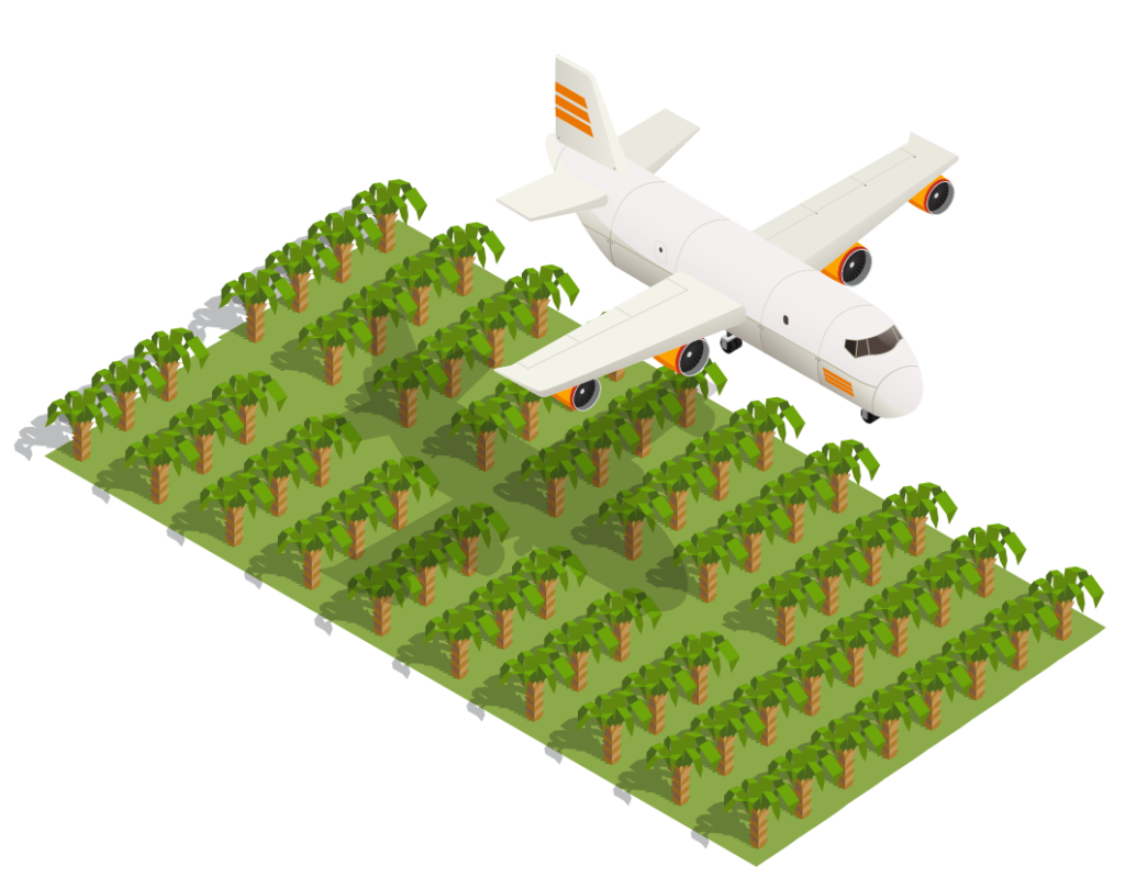 Aircraft flying over trees to show a lower carbon footprint